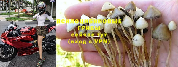 спиды Покров