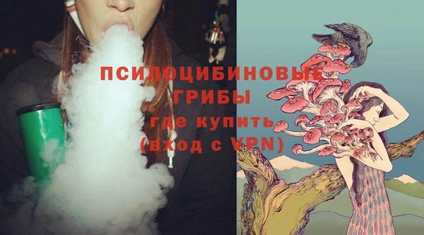 спиды Покров